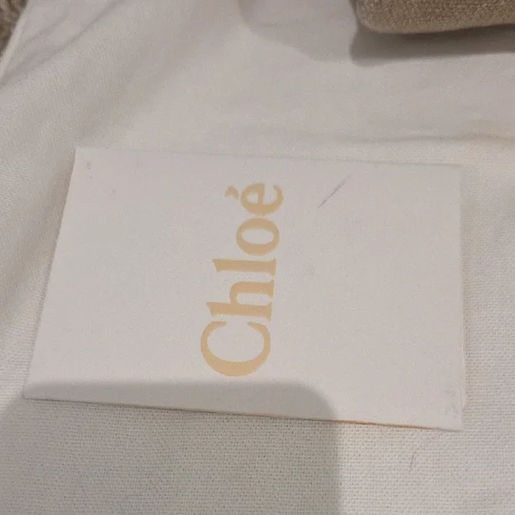 Chloe Medium Woody Tote Bag - Picture 3 of 8